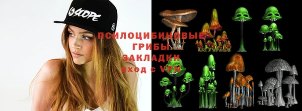 гидропоника Алексеевка