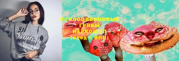 гидропоника Алексеевка