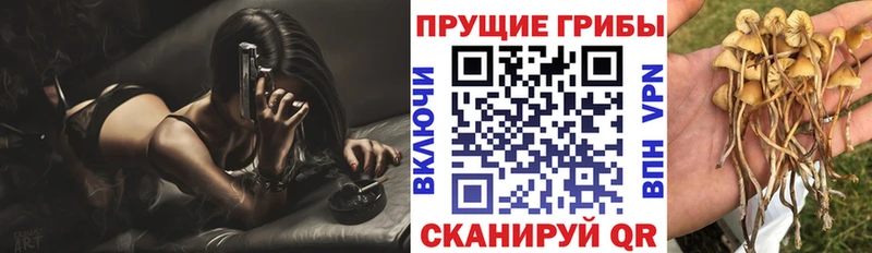Псилоцибиновые грибы ЛСД  магазин    гидра ONION  Гаврилов Посад 